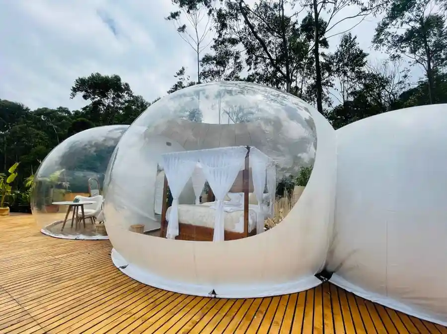 Romantic Bubble Escape to Munnar